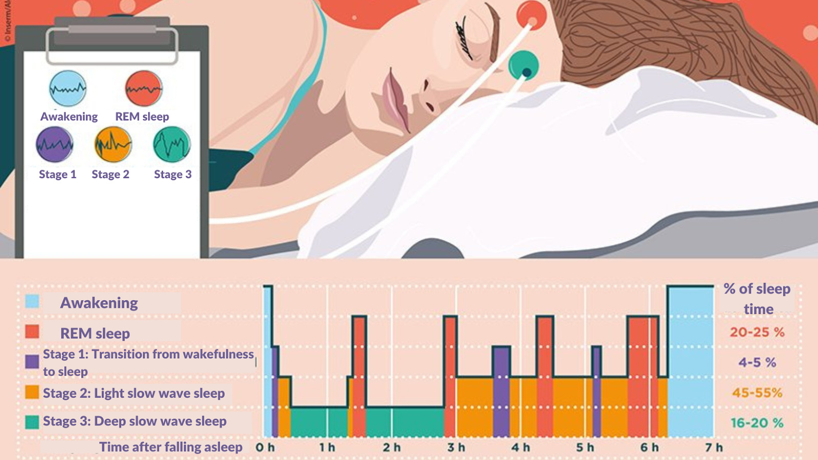 graphique analyse du sommeil