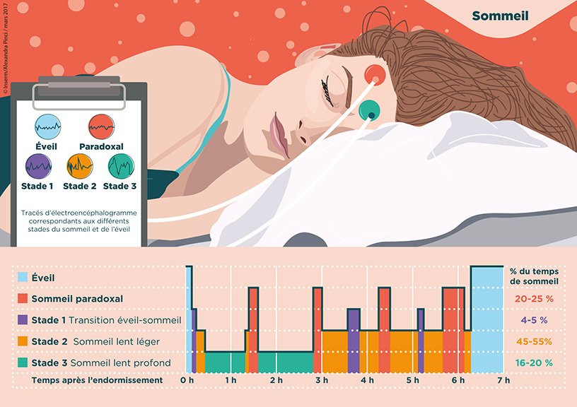 graphique analyse de sommeil