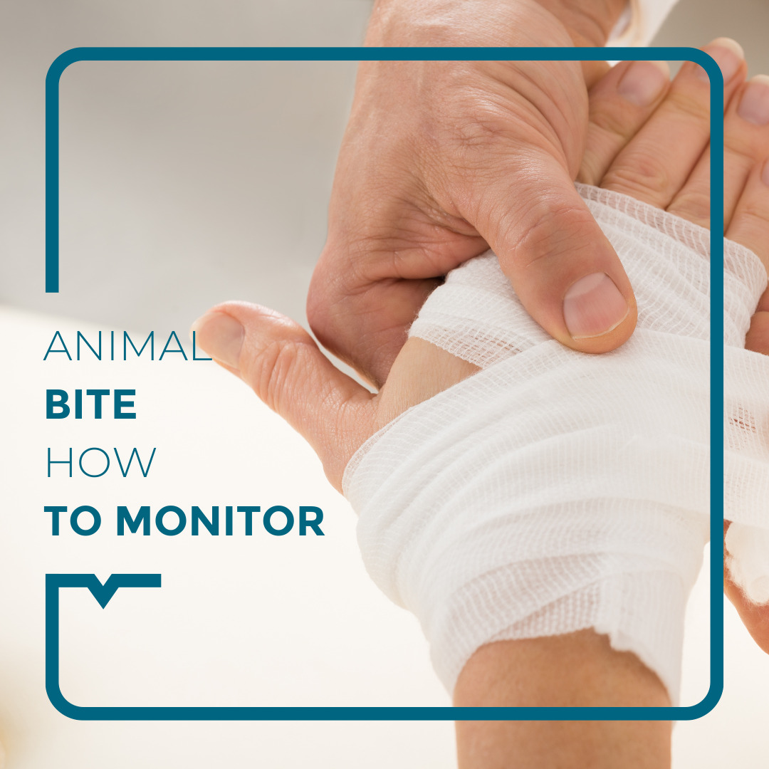 Animal Bite How To Deal With It Alegria Medical Centre animal-bite-how-to-deal-with-it-alegria-medical-centre